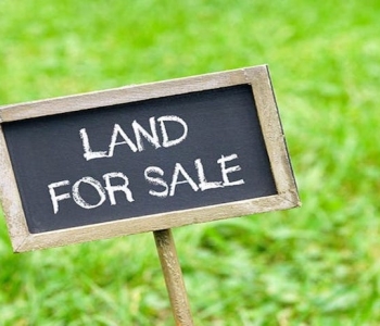 5 cent Land for sale