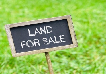 5 cent Land for sale