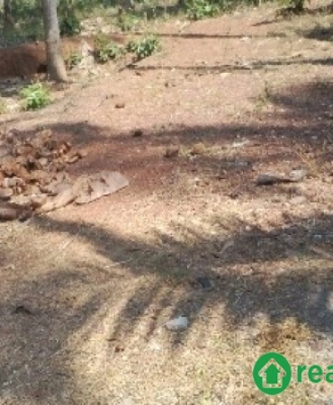 Plot for sale near Mananthalappalam