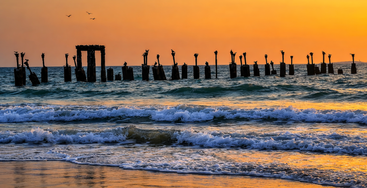 Calicut Diaries: 8 places to visit in Calicut That’ll Feed Your Soul and Your Stomach!