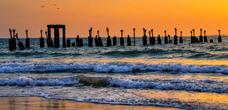 Calicut Diaries: 8 places to visit in Calicut That’ll Feed Your Soul and Your Stomach!